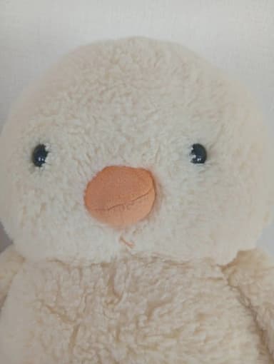 運営者 PiyoHiko のプロフィール写真